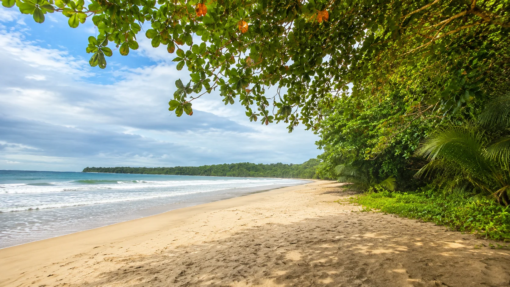 Cahuita: Vida Silvestre y Playa Caribeña