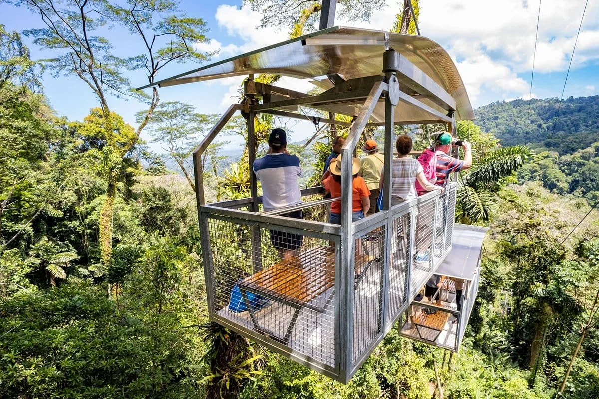 LoaTours guests enjoying a hanging-bridges experience