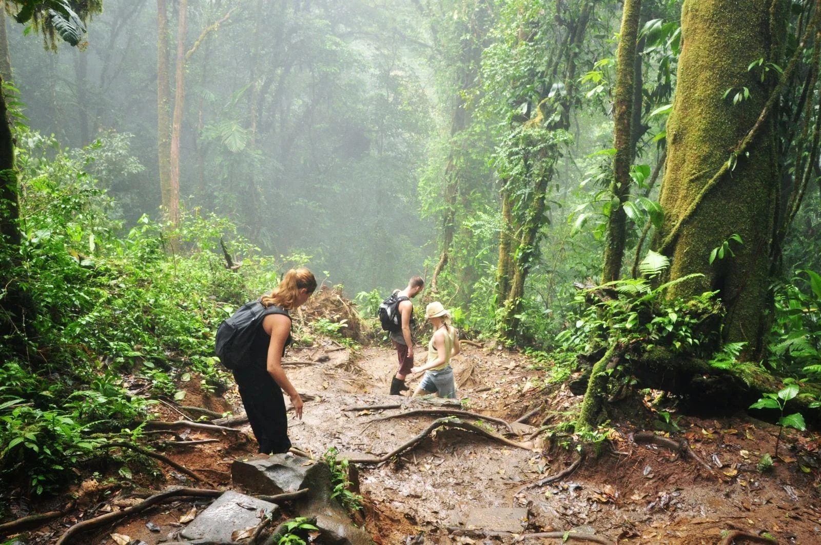 LoaTours guests walking a steep jungle trail