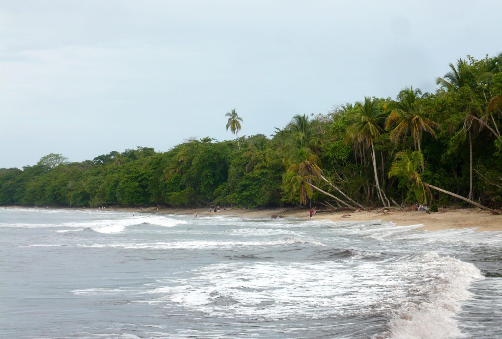 Cahuita Wildlife & Caribbean Beach