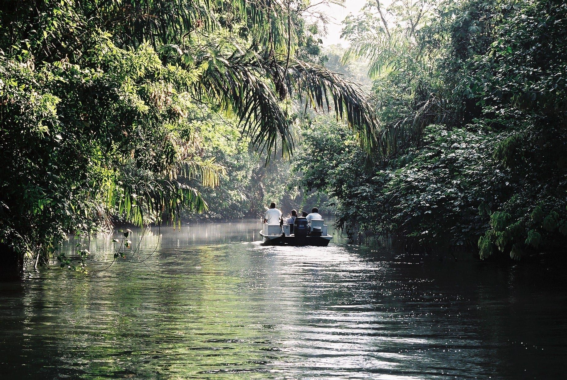 Tortuguero Canals & Playa Bonita