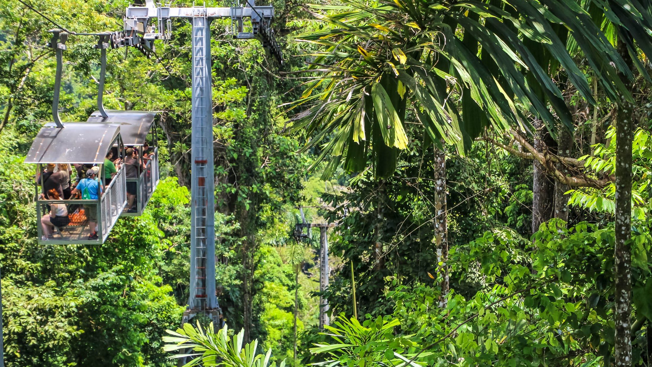 Veragua Rainforest, Sky Gondola & Canals