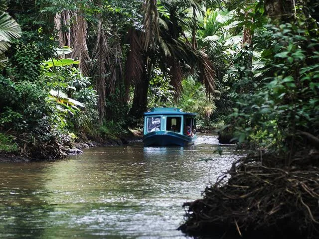 Kleines überdachtes Boot fährt durch einen schmalen Regenwaldkanal