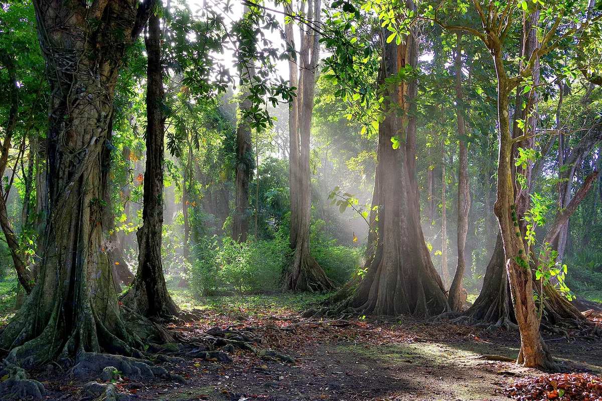 Ausgewähltes Foto eines Ausflugs in Costa Rica
