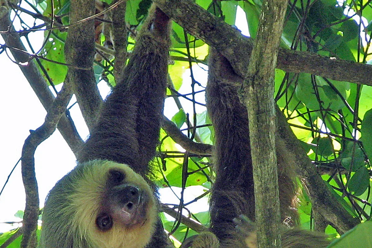 Ausgewähltes Foto eines Ausflugs in Costa Rica