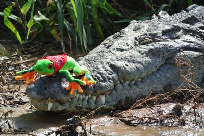 Tárcoles River crocodile and mangrove safari — approximately 60 minutes with possible crocodile and bird sightings.