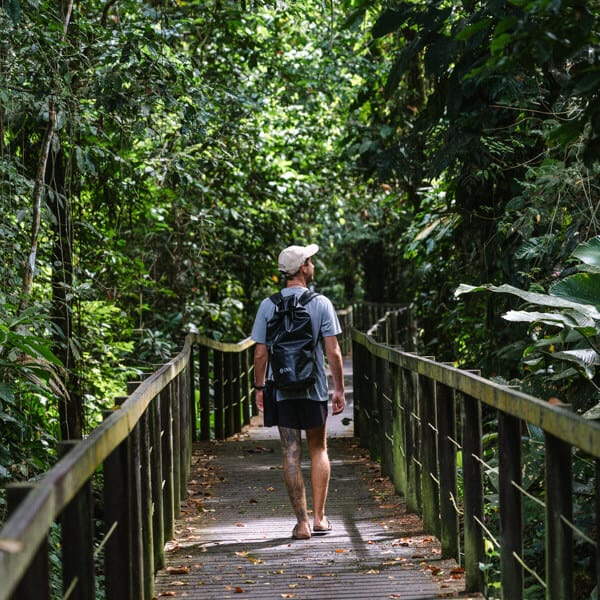 Guided Cahuita wildlife walk