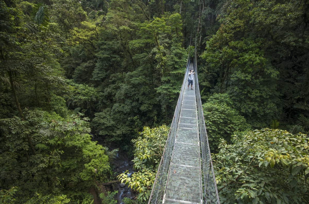 Guided suspension-bridge walk