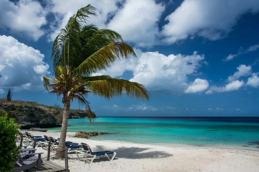 Banana, fruit and Playa Bonita stops